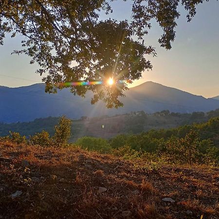 Il Sottobosco Bed & Breakfast Satriano di Lucania Luaran gambar